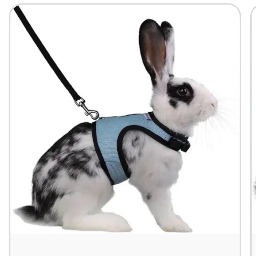 Niteangel Adjustable Soft Harness for Pets